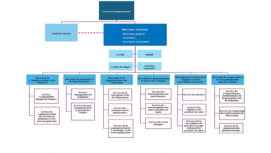 Organigramme complet